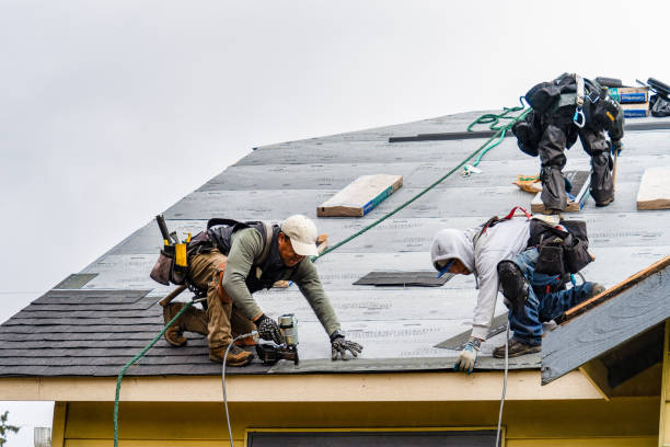 Professional Gutter Installation technician working in Rogers, MN